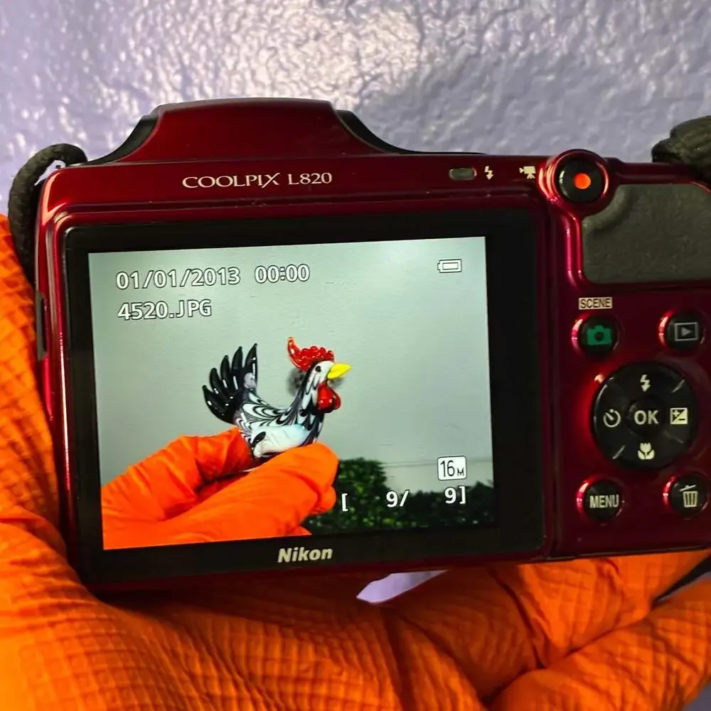 Nikon COOLPIX L820 16.0MP Digital Camera with 30x Zoom - Red